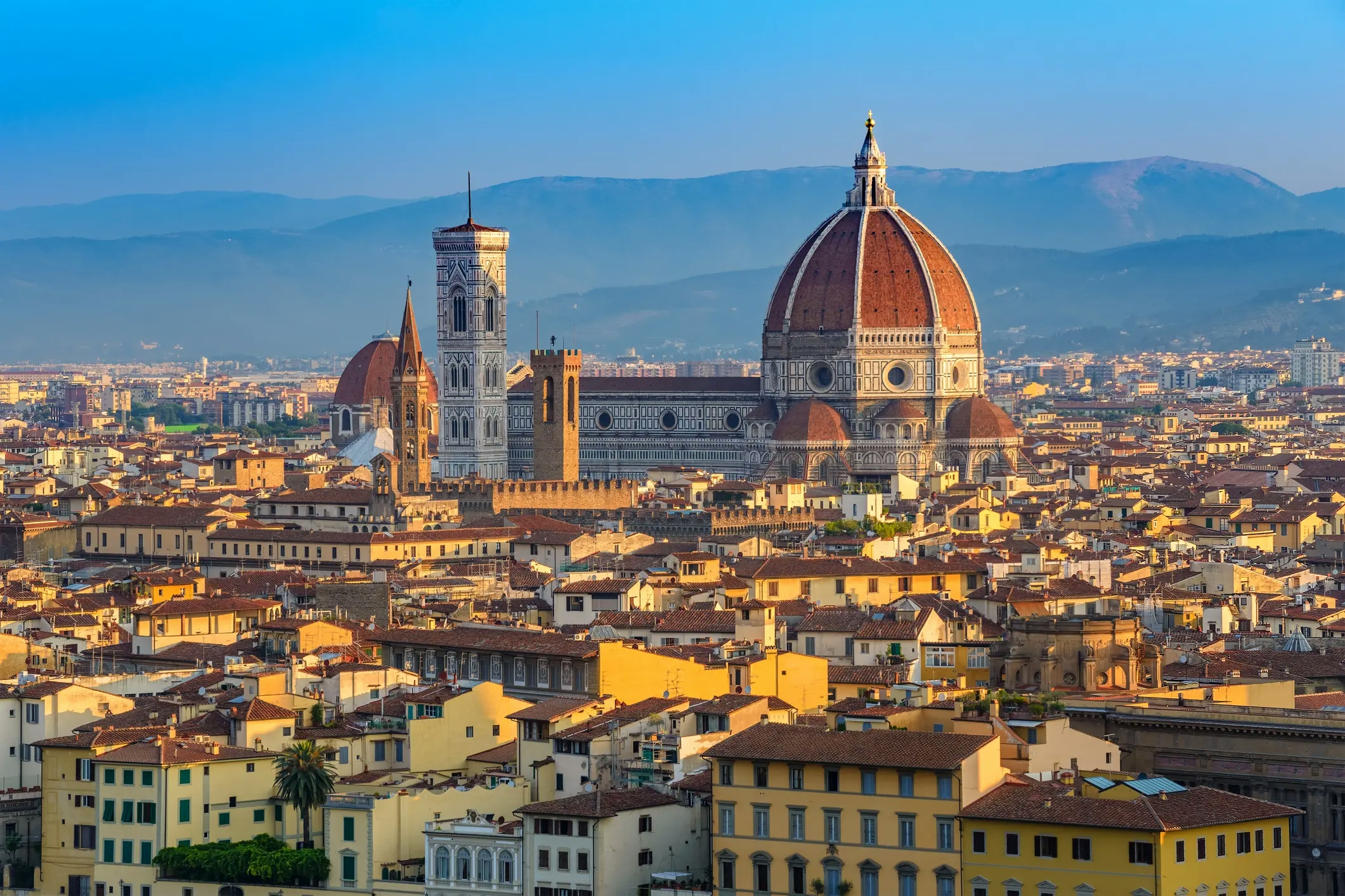 Quick Florence discovery guide