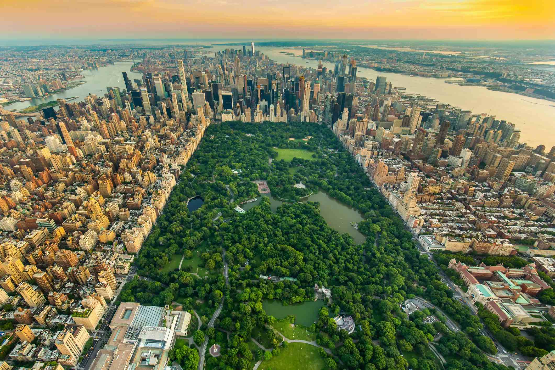 Central Park image