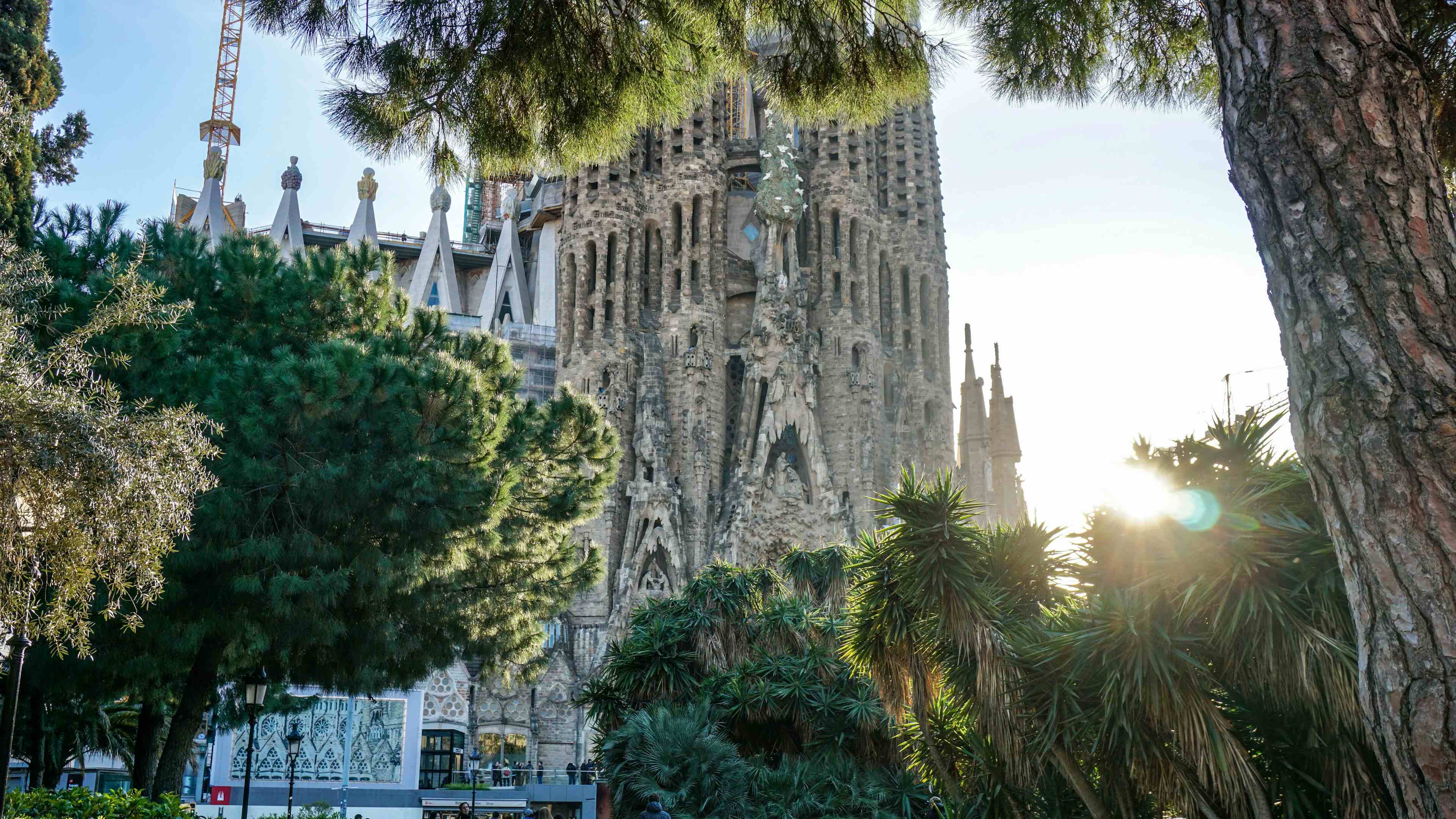 Barcelona Chronicles: A Tourist Information Tale image