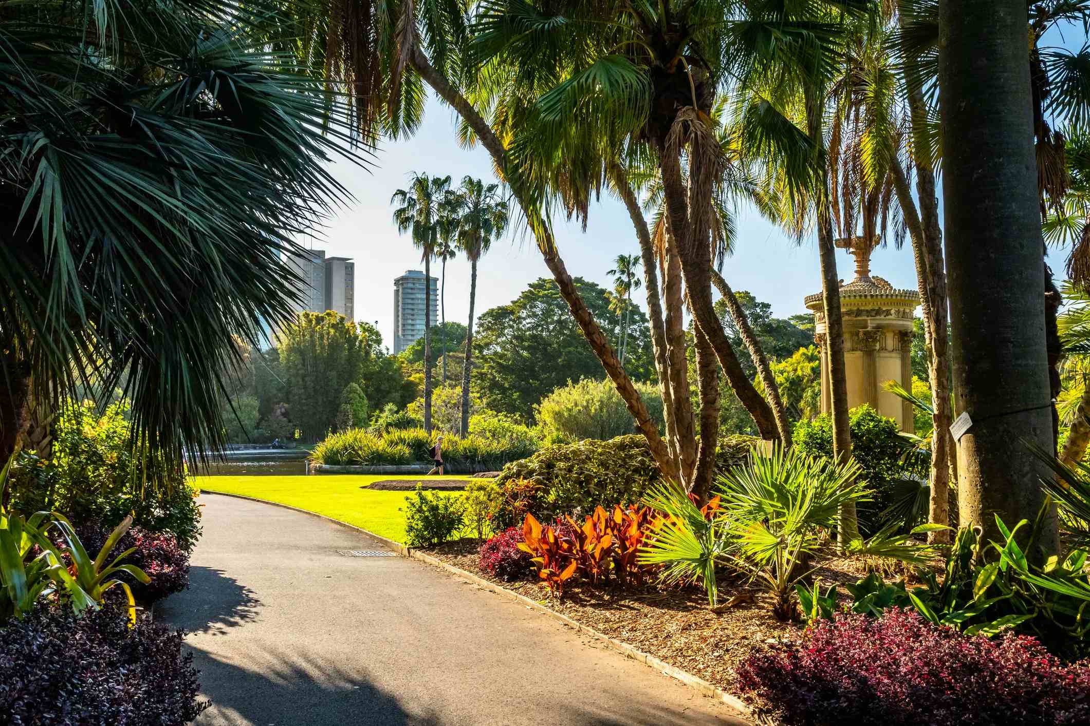 Jardins botaniques royaux de Sydney image
