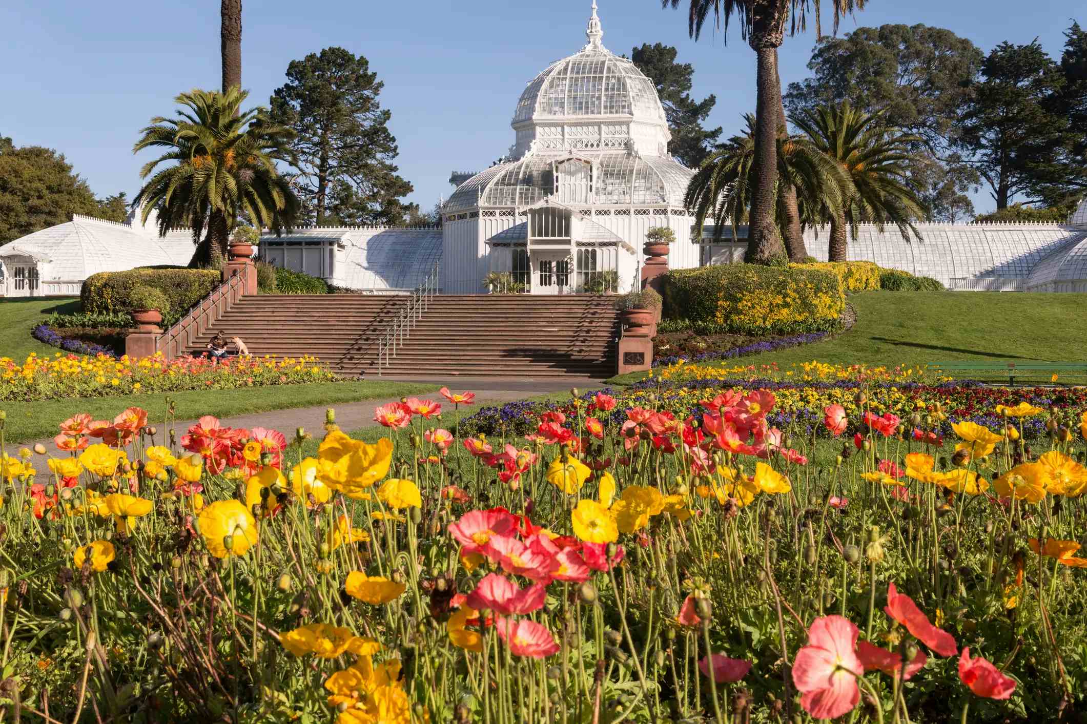Golden Gate Park image