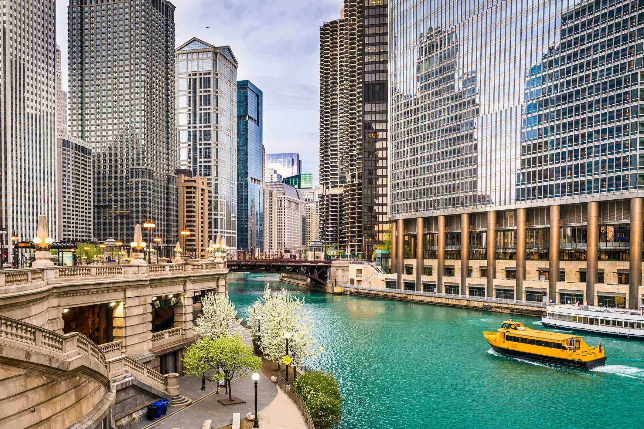 시카고 image