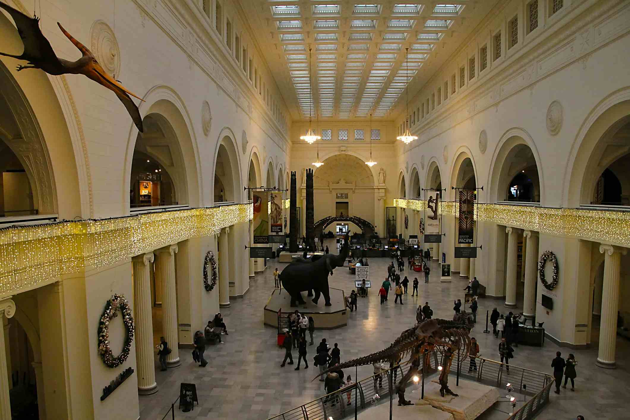 Museo Field de Historia Natural image