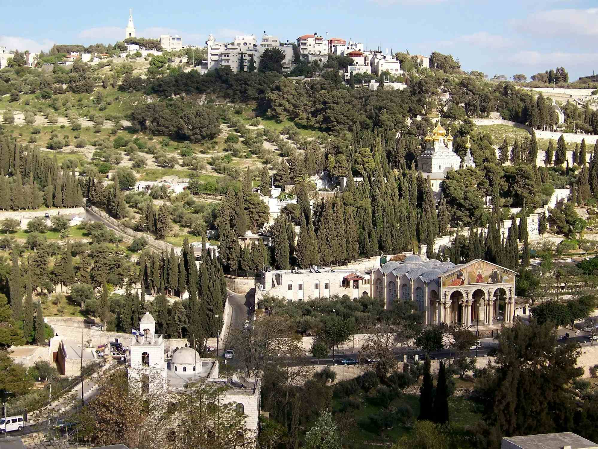 Mountain of Olives image