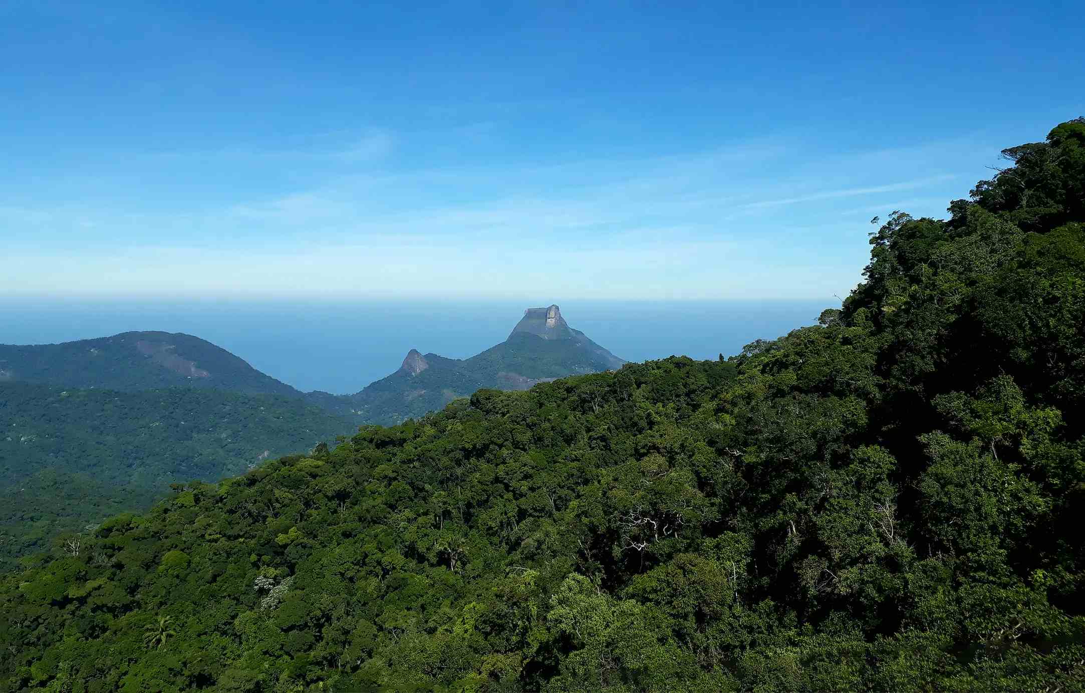 Parc national de la Tijuca image