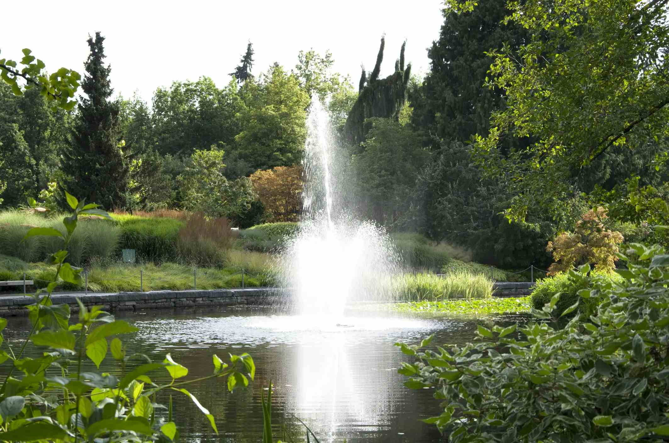 Ботанический сад Ван Дусена image