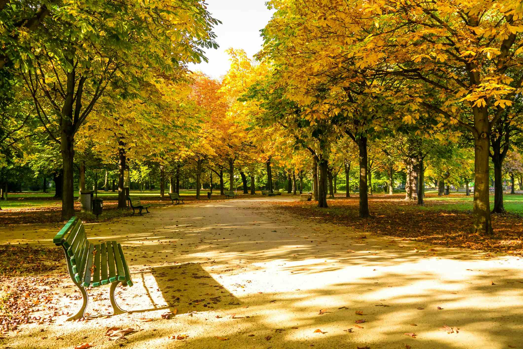 Berlin-Tiergarten image