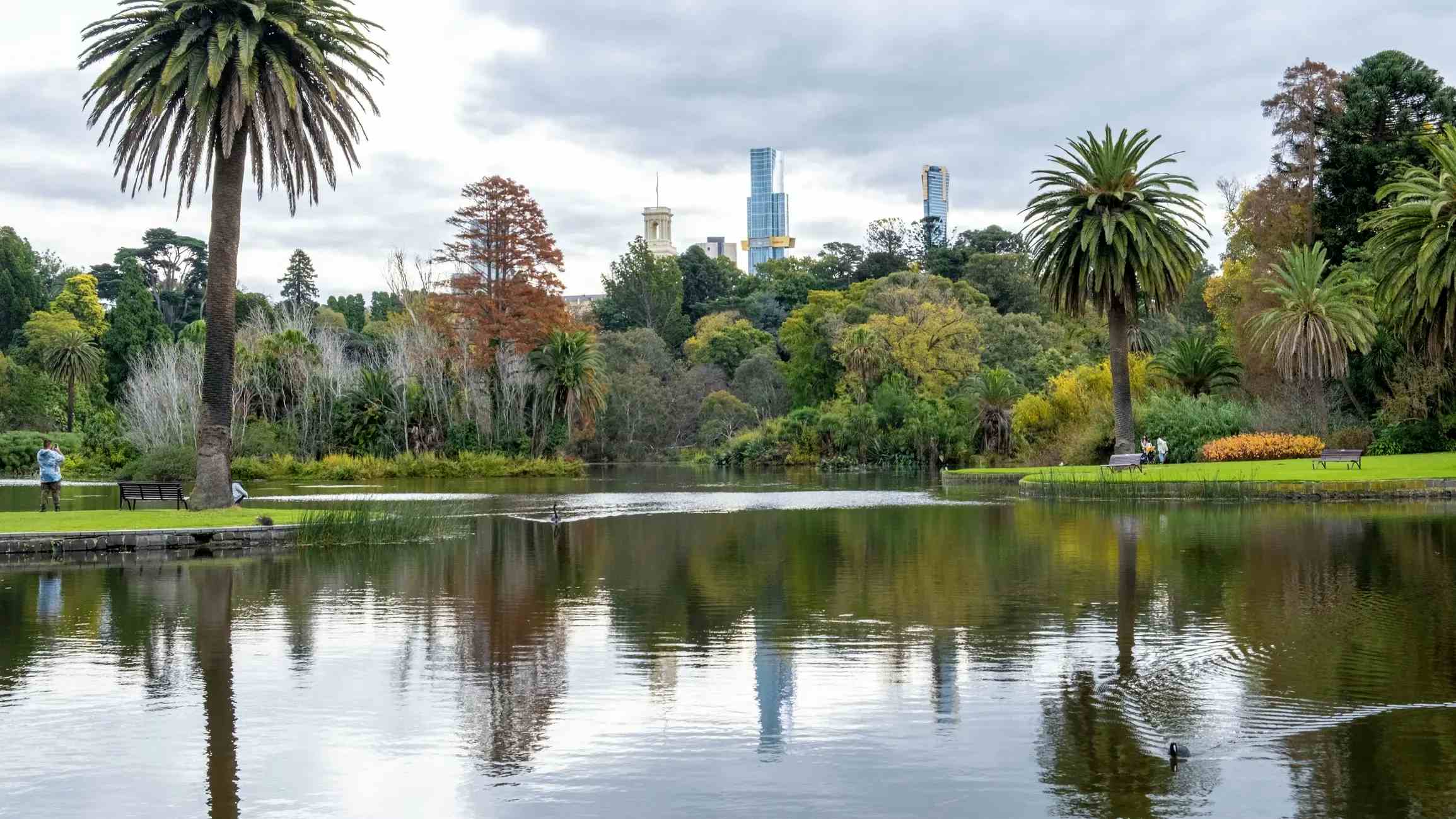 Jardins botaniques royaux de Melbourne image