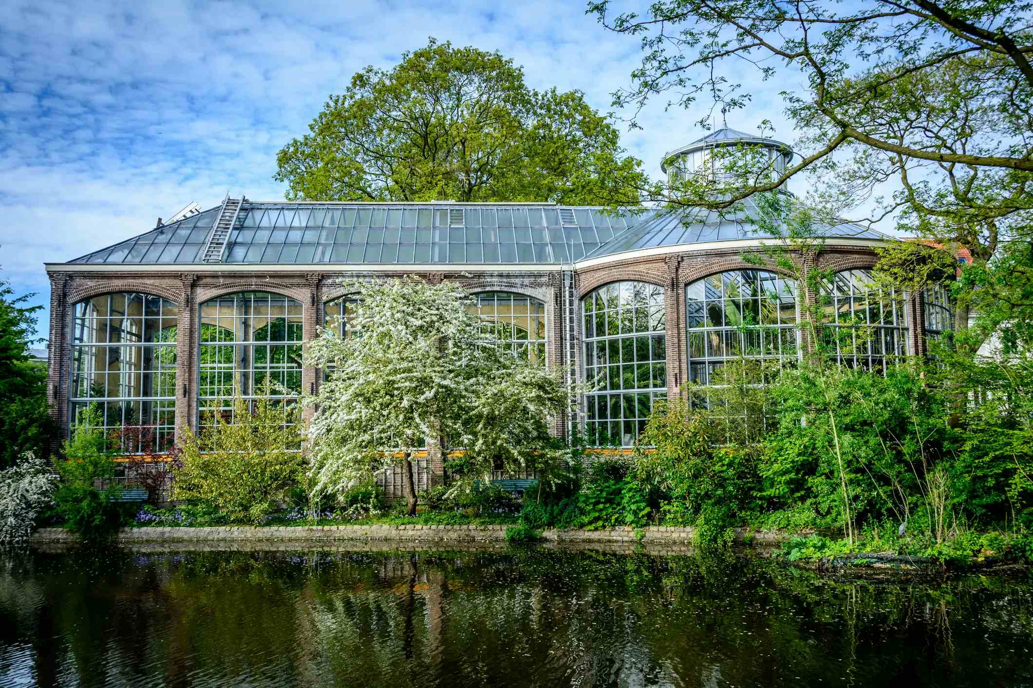 Jardin botanique d'Amsterdam image