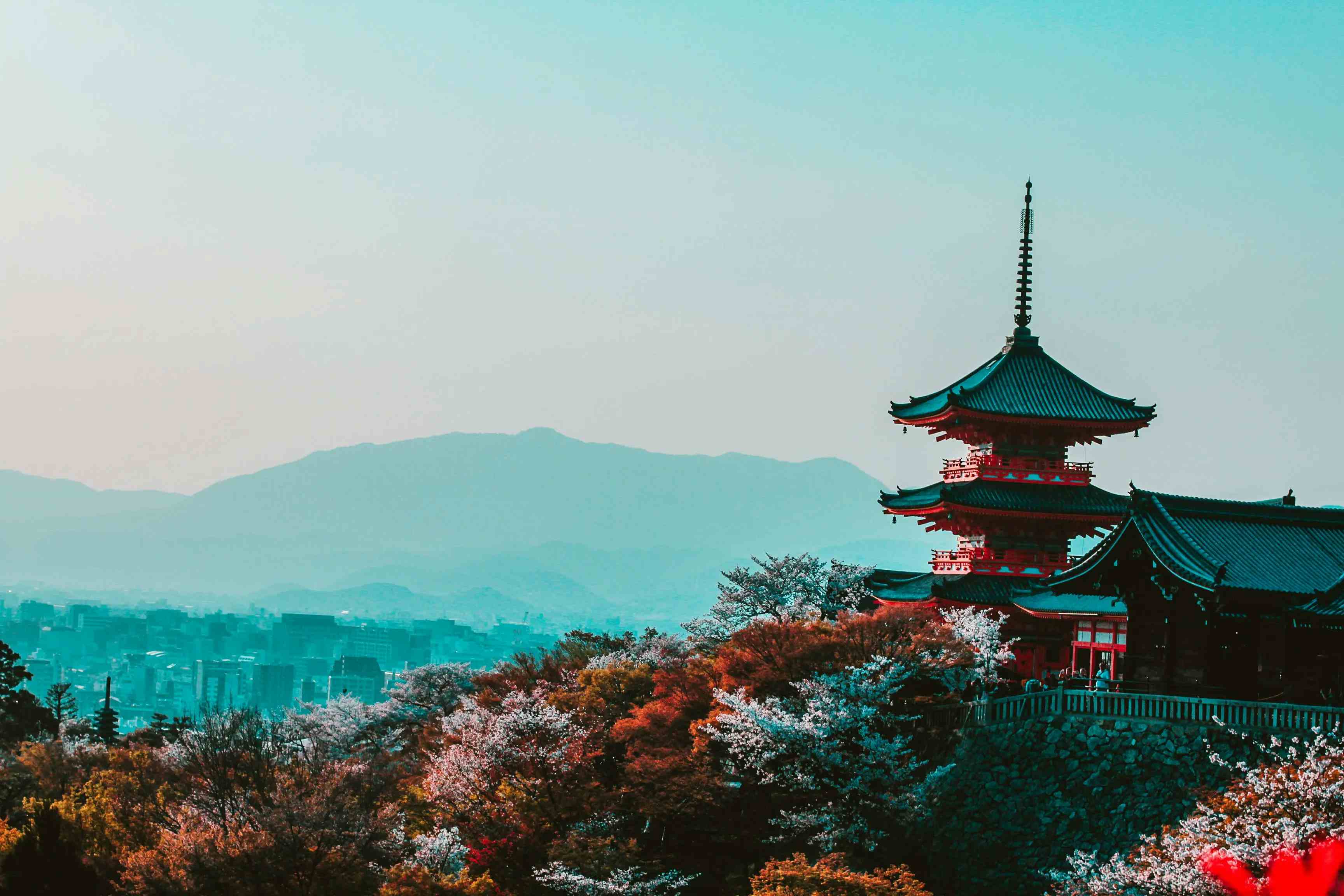 Kirschblütensaison in Kyoto: Ein Reiseführer image