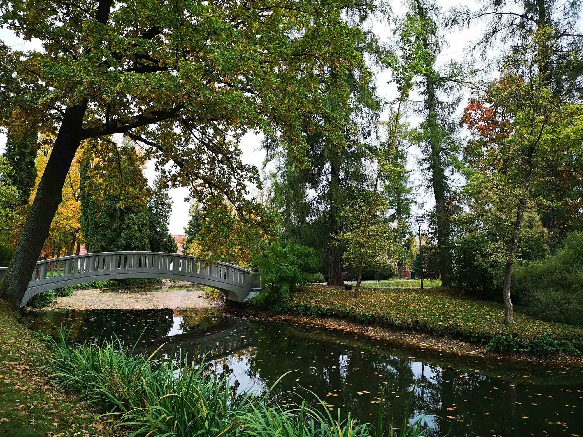 Jardín Botánico de Kaunas de la Universidad Vytautas Magnus image