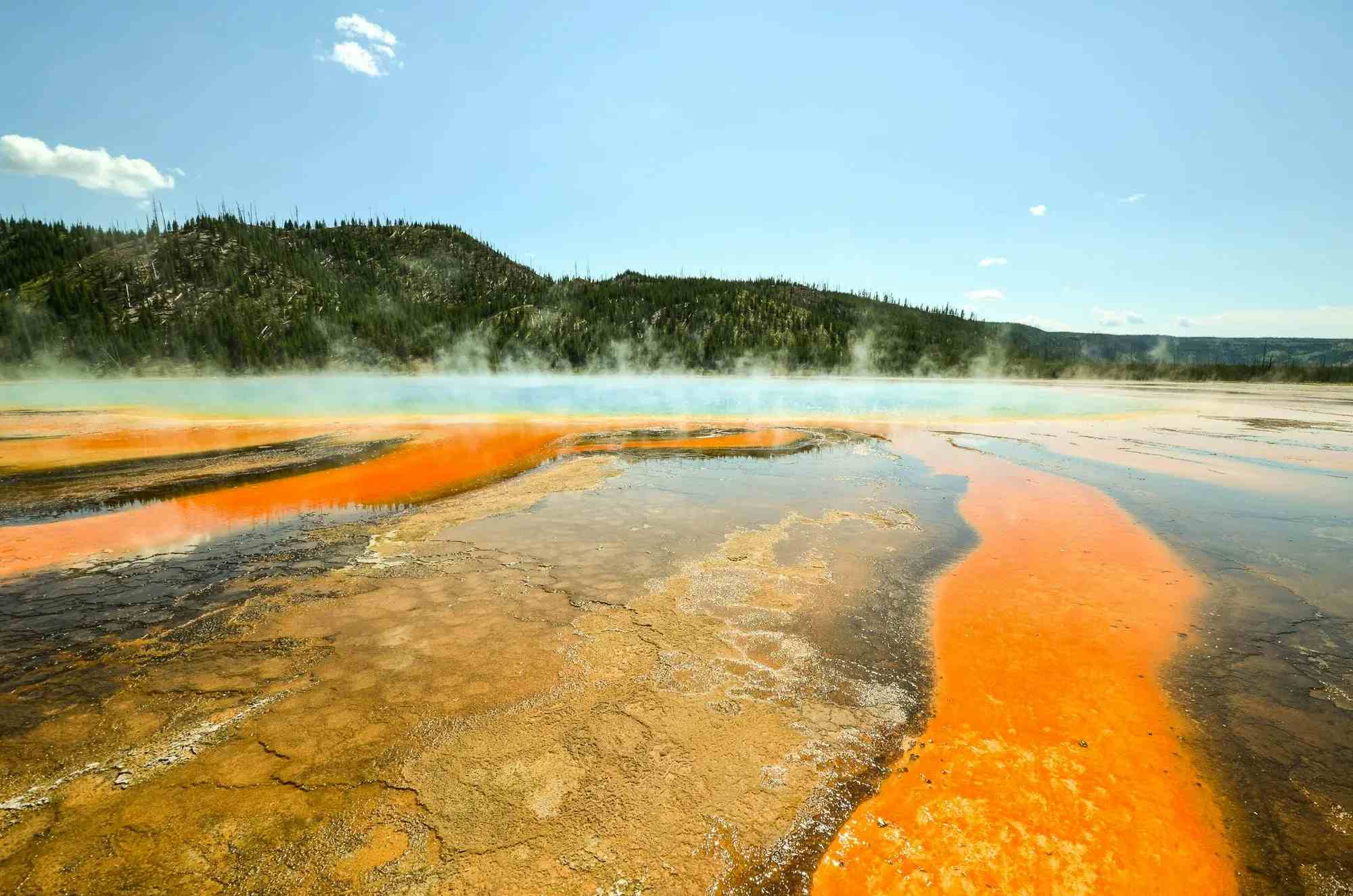 Wild Wonders: Discovering Nature's Marvels In Yellowstone image