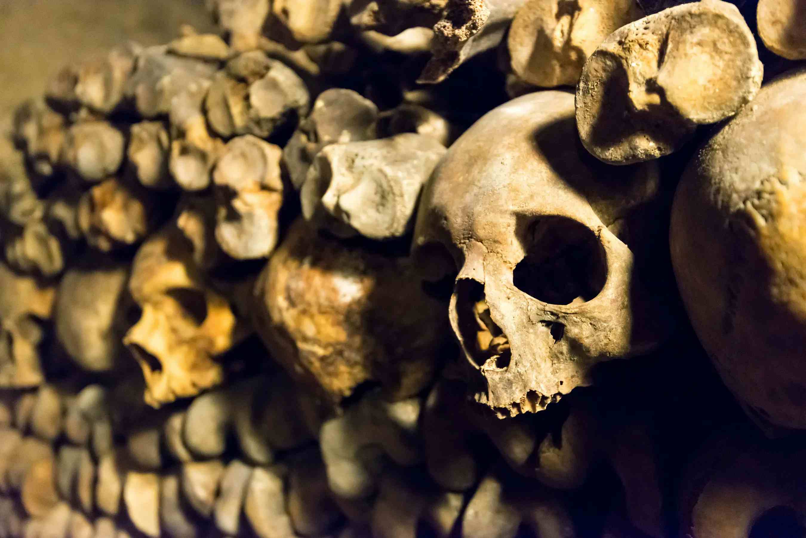 巴黎地下墓穴 image